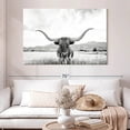 thumbnail image 2 of Elephant Stock Longhorn Texas Bw Wall Art - Horizontal Canvas Wall Art - Living Room Wall Decor - Animal Canvas - Black And Gray Decor By Sisi And Seb - 51" x 34", 2 of 8