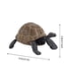 thumbnail image 3 of onlyliua Liquidación Figuras de Tortuga Juguetes Decoración Del Hogar Preescolar Educativo, 3 of 3