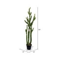 thumbnail image 2 of Vickerman FE191156 56 in. Green Potted Cactus Plastic Planter Pot, 2 of 2