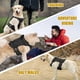 thumbnail image 3 of Arneses Conjunto 3 Chalecos Tácticos Caza Para Perro Grandes, 3 of 8