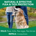 Hartz Nature's Shield Flea and Tick Dog Spray with Cedarwood and