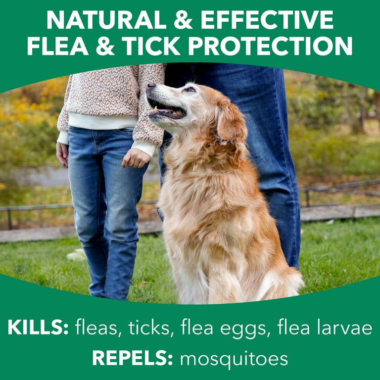 Hartz flea and top tick home spray