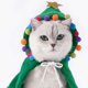 thumbnail image 1 of Disfraz de Navidad para mascotas Cachorro Capa de Navidad con estrella y pompones Gato Capa de Papá Noel con gorro de Papá Noel Fiesta Perro de tamaño pequeño a mediano Vhermosa WRJM-499-2, 1 of 5