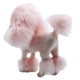 thumbnail image 3 of Serie de artesanías de animales de simulación, perro de peluche, caniche, caniche multicolor, 3 of 6