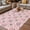 pink, variant on Spring Floral Outdoor Rug for Patio/Deck/Porch, Non-Slip Large Area Rug 5 x 7 Ft, Retro Flowers Leaves Botanical Light Blue Indoor Outdoor Rugs Washable Area Rugs, Camping Rug Carpet Runner