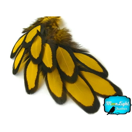 Hen Feathers Seashell - 1 Dozen - Yellow Laced Hen Saddle Feather