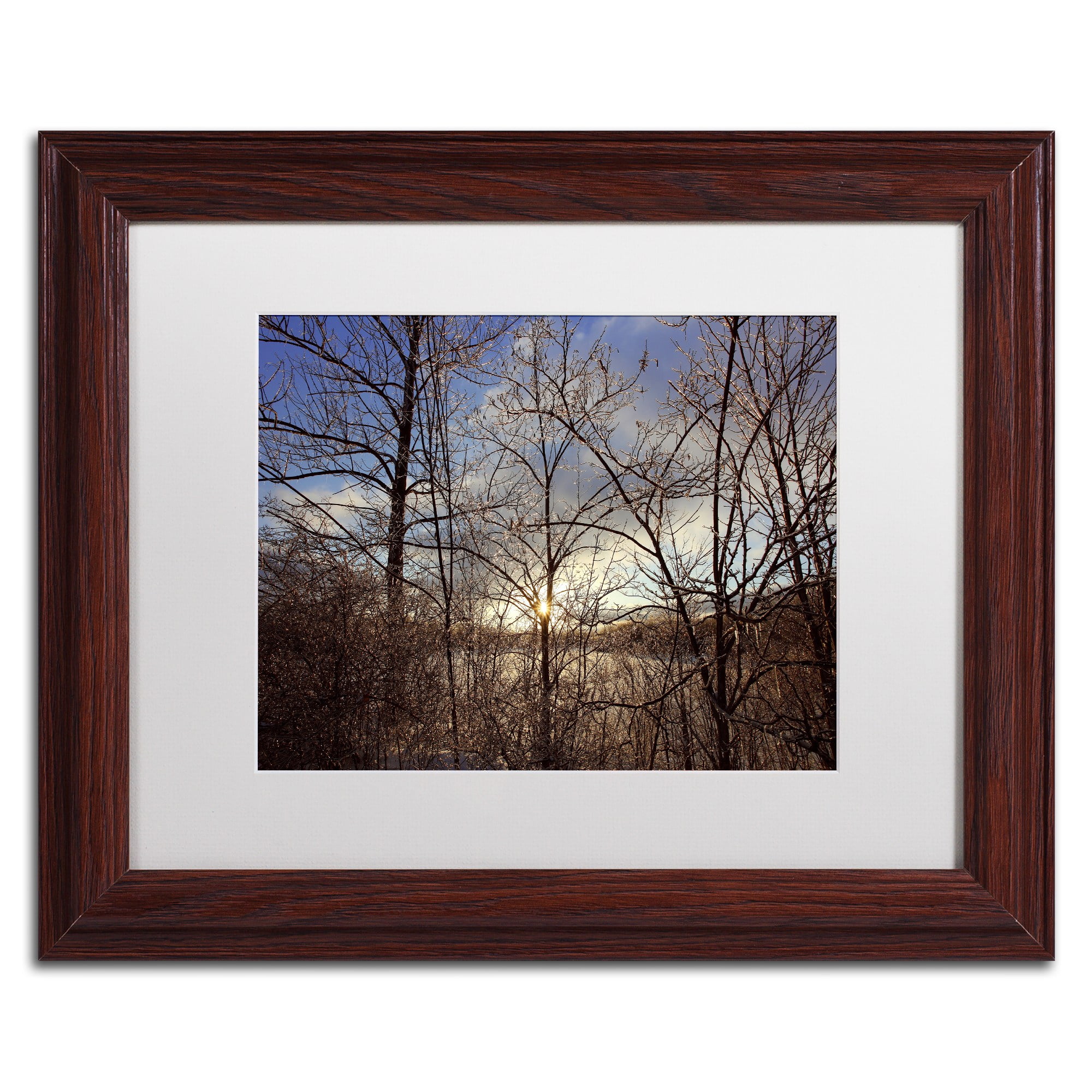 Trademark Fine Art "South Amherst Quarries" Canvas Art by Jason Shaffer, White Matte, Wood Frame