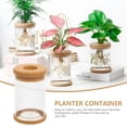 thumbnail image 3 of COMPUKAS 4Ud Macetas Transparentes Plástico Imitación Para Plantas Suculentas Y, 3 of 6
