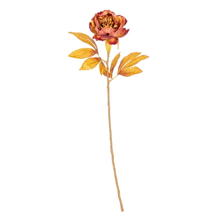 21" Red/Brown Peony Stem 6/Bag
