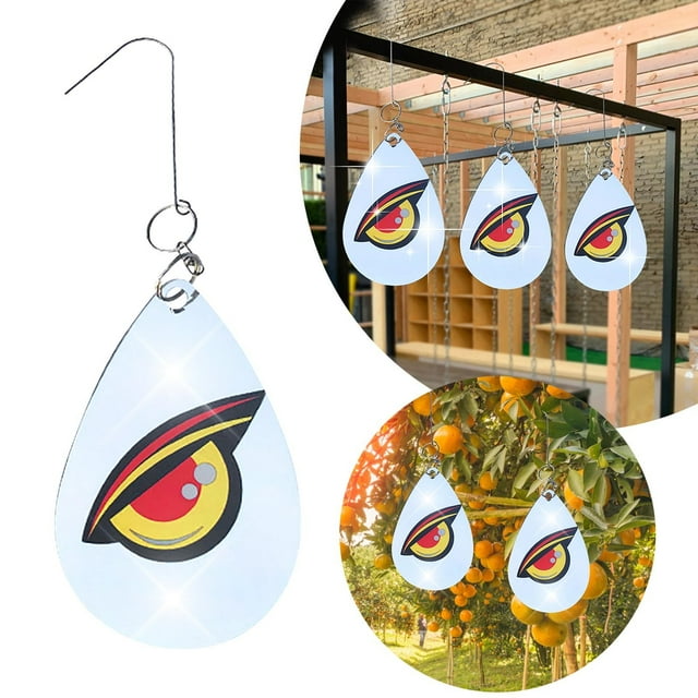 Cqxid Hangs Under $5 Eye Decoy To Scare Birds Away Bird Device With Hanging Outdoors Reflective Scarer And Bird Sticker Keep Birds Away Home And Garden