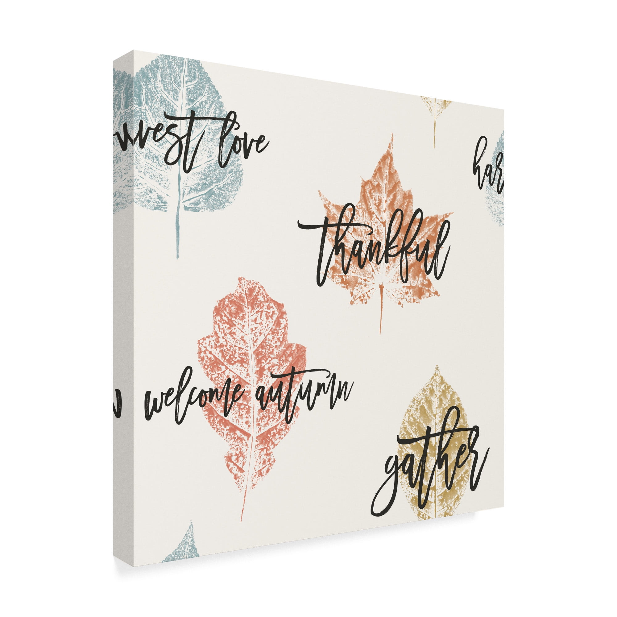 Trademark Fine Art 'Harvest Sentiments Pattern IV' Canvas Art by Moira Hershey