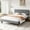 Grey, variant on edx Twin Size Platform Bed Frame with Upholstered Headboard, No Box Spring Needed, Wood Slats Support, Dark Grey