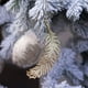 thumbnail image 1 of Colgante brillante para árbol de Navidad | Decoración navideña | Adorno colgante de plástico irrompible para árbol, corona o guirnalda | Decoración festiva para el hogar, 1 of 6