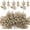 Champagne, variant on 24 Pieces Christmas Tree Decorations - 12pcs Artificial Glitter Berries Stems and 12pcs Glitter Cedar Leaves for Christmas Tree Decor Wreath Making Vase Filler DIY Crafts