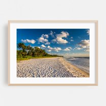 The Heart of Naples - Naples Florida Photography Beach Ocean Coast Tropical Palm Tree Nature Landscape Oak Framed Wall Art Print 5 x 7 inches