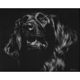 thumbnail image 2 of Chapman, Julie T. 24x20 Gold Ornate Wood Framed with Double Matting Museum Art Print Titled - Canine Scratchboard XV, 2 of 4