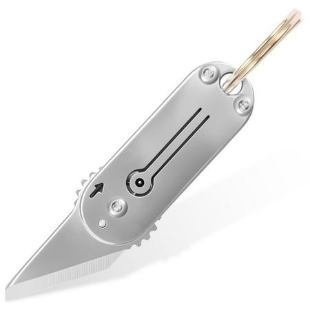 AEVXKHI 2PCS Stainless Steel Small Keychain Pocket Knife Mini Folding Knife Practical Box Cutter Package Opener