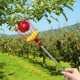 thumbnail image 1 of Herramienta de poste de recolectores de frutas con canasta Manijera larga seleccionador de manzana ajustable (4m), 1 of 9
