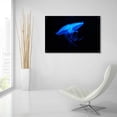 thumbnail image 6 of Epic Art 'Swan Lake' by Epic Portfolio, Acrylic Glass Wall Art, 36"x24", 6 of 8
