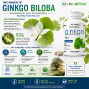 VH Nutrition Ginkgo Biloba Supplement 550mg | Cognitive and Memory Support* | Boost Mental Clarity and Focus | Brain Health Supplement | 60 Capsules