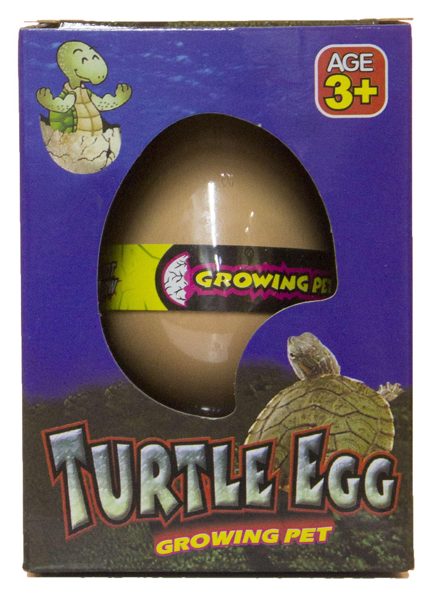 Grow a Turtle Turtle Egg Hatching Pet Just Add Water