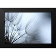 thumbnail image 2 of Stramel, Renee W. 24x17 Black Modern Framed Museum Art Print Titled - Macro Dandilion XI, 2 of 5