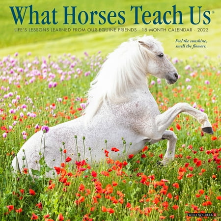 UPC: 0709786073016 | What Horses Teach Us 2023 Wall Calendar