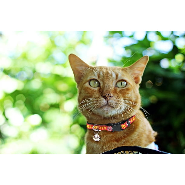 Pets First Kansas City Chiefs Cat Collar Durable and Heavy Duty Nylon Web Collar