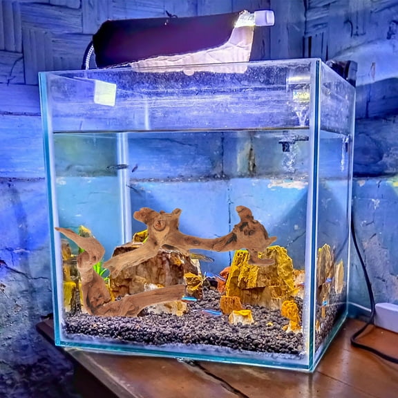 TEHAUX Betta Fish Tank Decorations Driftwood Trunk Aquarium Accessories Set of 4 for Freshwater and Tropical Fish Tanks