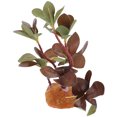 thumbnail image 1 of QUMIIRITY Planta De Plástico Decorativa Para De Reptiles Y Acuarios Con, 1 of 8