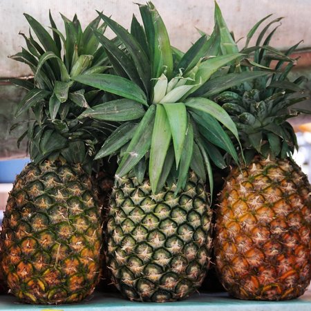 Fresh Pineapple - LAMINATED POSTER Food Pineapple Fruit Tropical Sweet Healthy Fresh Poster Print 24 x 36