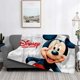 thumbnail image 3 of Manta de felpa suave con dibujos animados de Disney, Minnie y Mickey, manta de franela para sala de estar, dormitorio, cama, sofá, funda de picnic, 3 of 5