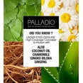 thumbnail image 4 of Corrector Facial Palladio Toffee Cobertura Completa para Mujer, 4 of 10