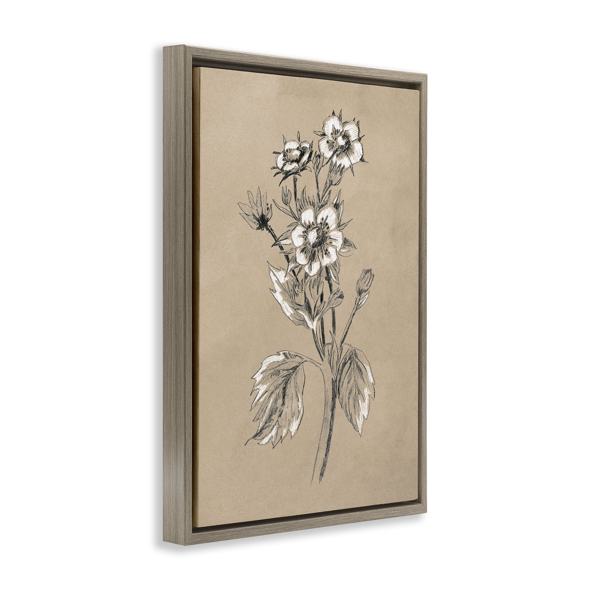 Stupell Industries Apple Blossom Drawing Botanical & Floral Drawing Brown Floater Framed Art Print Wall Art, 17 x 25