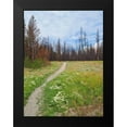 thumbnail image 2 of Peck, Gail 12x14 Black Modern Framed Museum Art Print Titled - Nature Path, 2 of 5