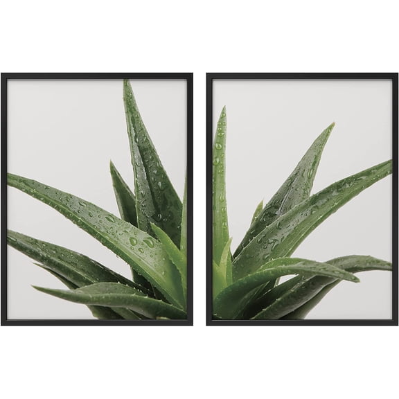 PixonSign Framed Wall Art Collage Print Gallery Set Devil Horn Succulent with Water Botanical Plant Photography Realism Modern Relax/Calm Multicolor for Living Room, Bedroom, Office - 12"x16"x2 BLACK