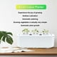 thumbnail image 5 of Plantador Autónomo, De Cultivo Hidropónico Con Riego Inteligente Y Monitoreo Para La Jardinería Interior Del Hogar, Ideal Para Espacios Pequeños, 5 of 7