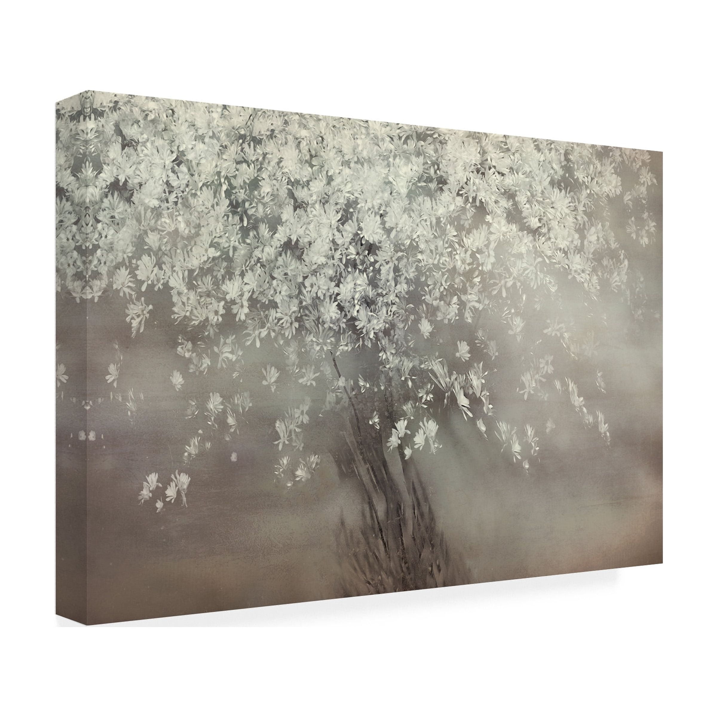 Delphine Devos 'Stars Of Spring' Canvas Art
