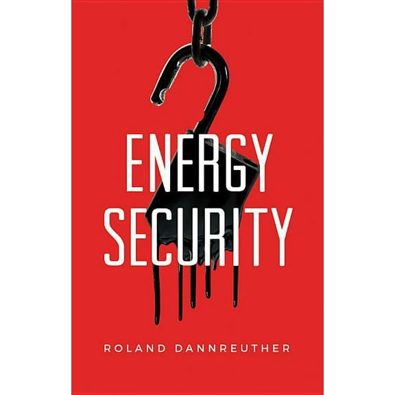 Energy Security (Paperback)