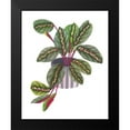 thumbnail image 2 of Wang, Melissa 15x18 Black Modern Framed Museum Art Print Titled - Prayer Plant II, 2 of 5