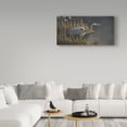 thumbnail image 3 of Trademark Fine Art 'Stalking The Edge Heron' Canvas Art by Wilhelm Goebel, 3 of 3
