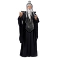 thumbnail image 1 of Sensei Master Costume, 1 of 1