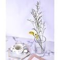 thumbnail image 3 of 12 Pack Clear Glass Cylinder Vases, Table Flowers Vase,for Wedding Decrations and Formal Dinners (6 Inch), 3 of 5