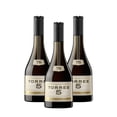 thumbnail image 1 of Pack De 3 Brandy Torres 5 700 Ml, 1 of 3