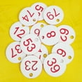 thumbnail image 4 of Number Tags 1-100 Numbered Labeling Tags with Hole Easy Fastened 100PCS Plastic for Key Tags Identification Tags for Loc, 4 of 12