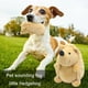 thumbnail image 3 of Modelo De Juego Erizo de peluche con sonido para mascotas, rompecabezas para perros, juguete de erizo suave para masticar (marrón), 3 of 3