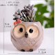 thumbnail image 5 of Maceta suculenta de cerámica con forma de búho con macetas, jardinera de Cactus, plantas, oficina, jardín, decoración del hogar (gris), 5 of 5