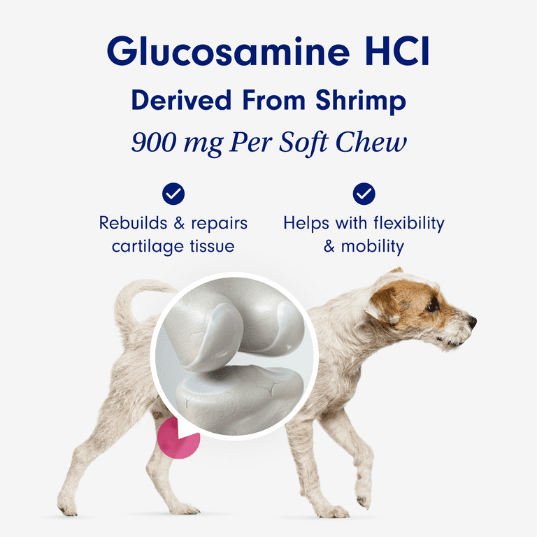 PetLab Co. Joint Care Chew High Levels of Glucosamine for Dogs Hip and Joint Supplement to Support Mobility. 30ct