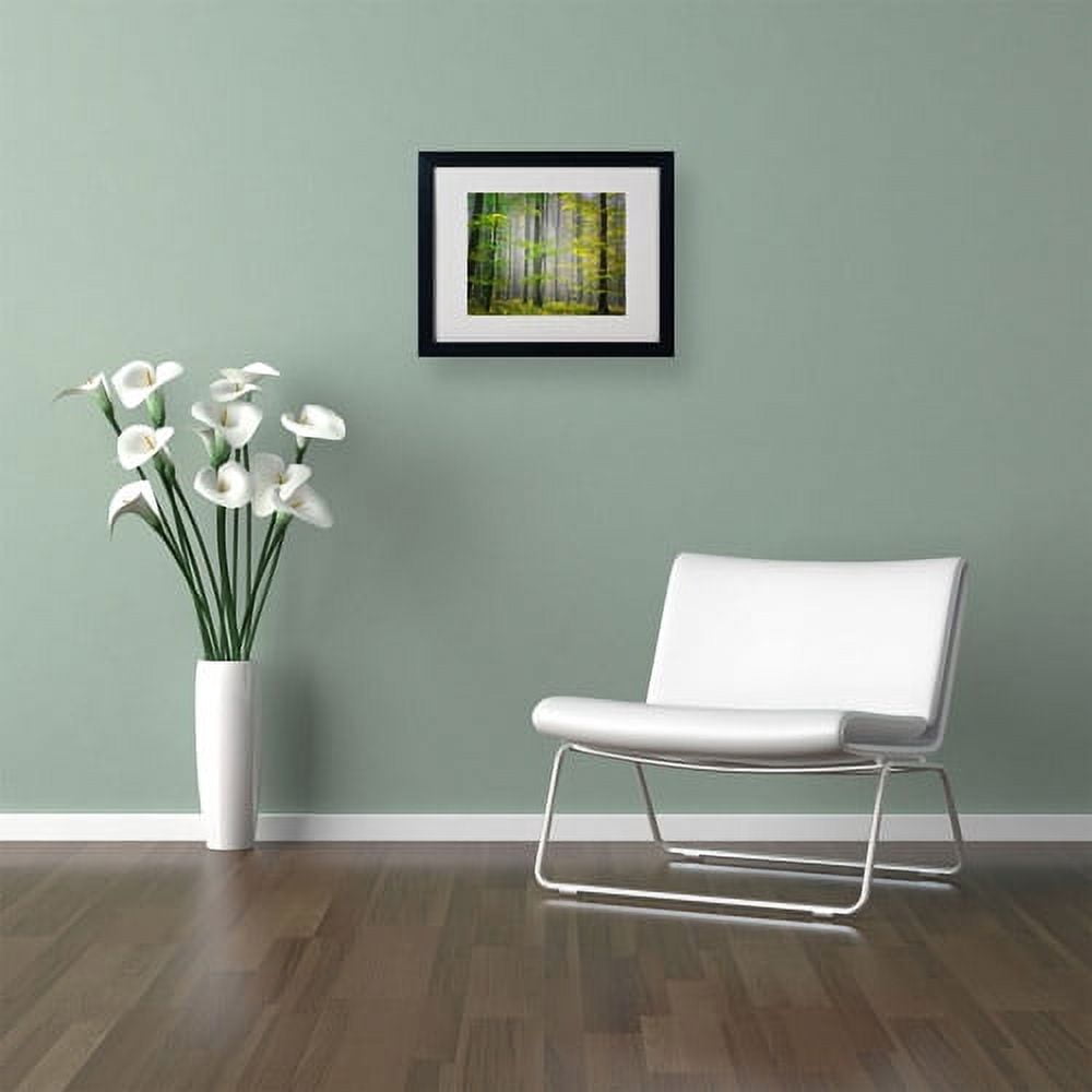 Trademark Fine Art "Sugar Low" Canvas Art by Philippe Sainte-Laudy, Black Frame