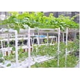 thumbnail image 4 of EQCOTWEA Hydroponic Grow System for Leafy Vegetables 54 Sites Grow Kit 6 Pipes 2 Layers 3 Rows, 4 of 6
